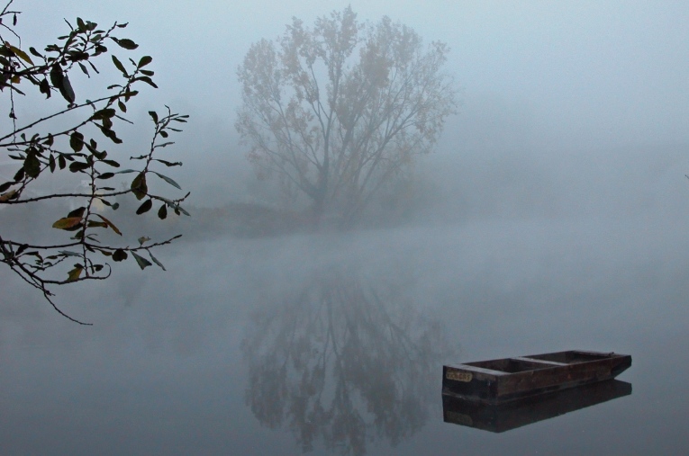 Images simples d'un matin de brouillard
