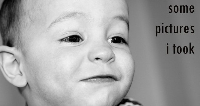 Some Pictures I Took