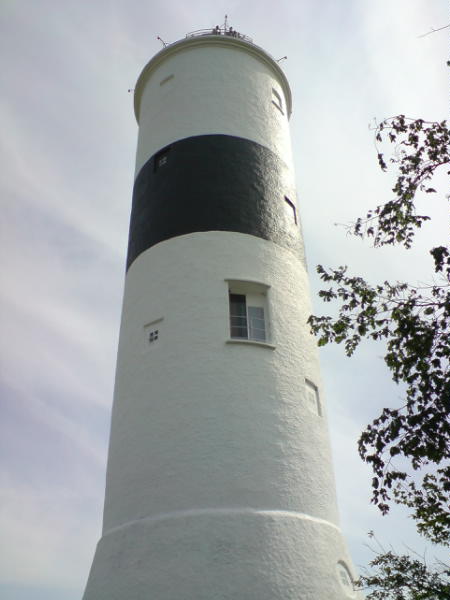 [image-upload-172-763203.jpg]