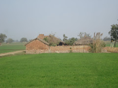 Bhavna's Village