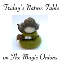 Friday's Nature Table on The Magic Onions