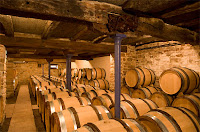 Vinification