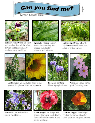 Garden News: Can you find me?