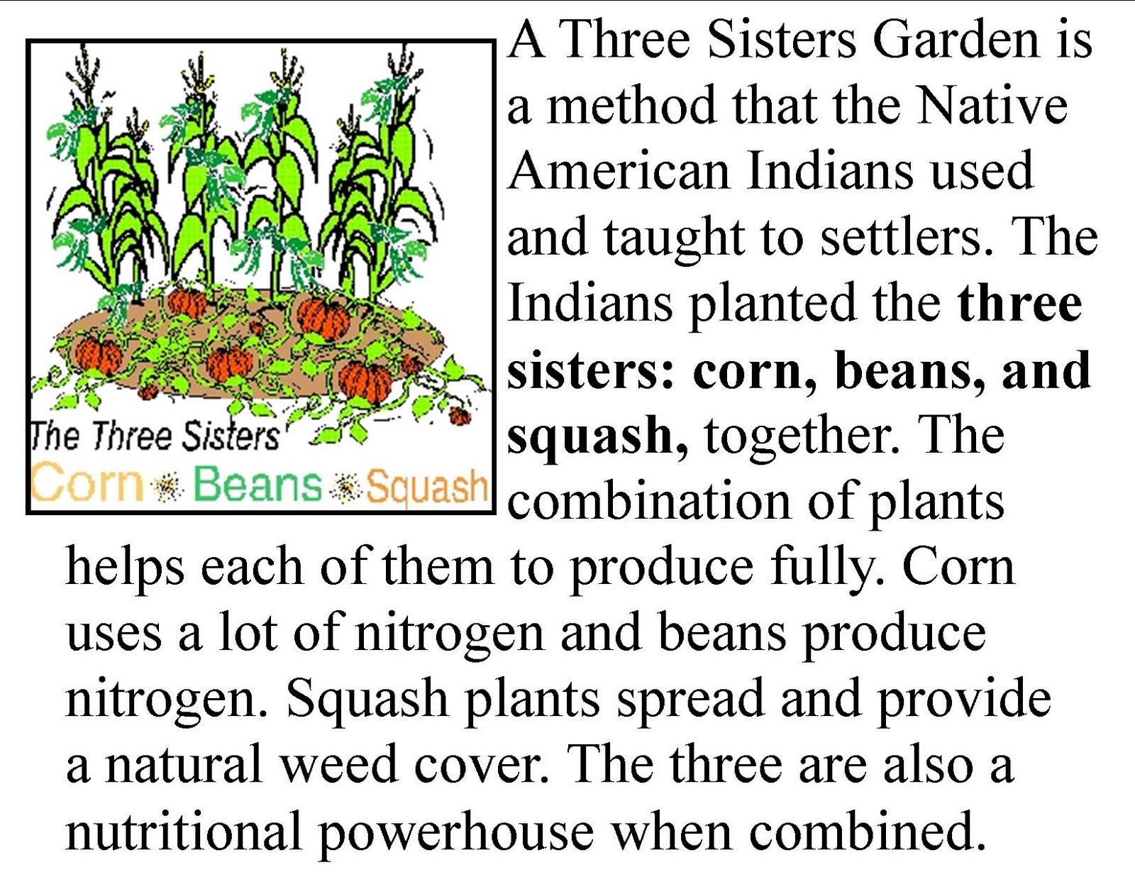 Garden News