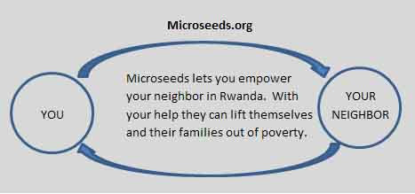 What is microseeds.org?