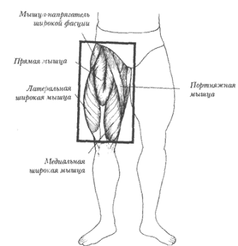 Stanodrol �����: ����.