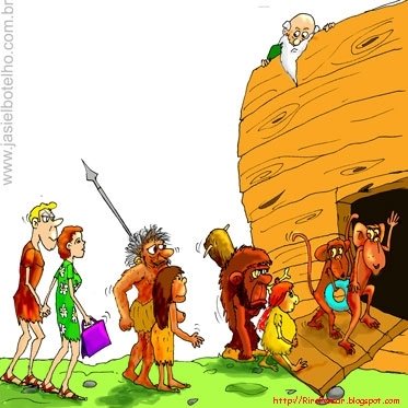[as-aventuras-de-noé5.jpg]