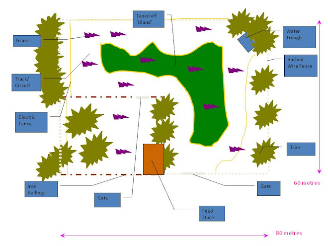 Nursery Circuit