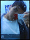 Minha foto