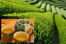 Forum Image: http://2.bp.blogspot.com/_dv9EPAEfiCk/Rp3owDNOWbI/AAAAAAAAAAs/fciozslludw/s320/Tea.jpg