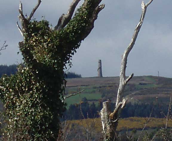 [bcorus_simlear2.jpg]