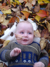 Autumn Leaves
