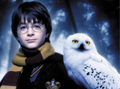 Cuidador de aves da série 'Harry Potter' admite crueldade com animais