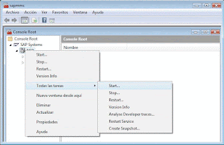 Instalar sap Netweaver