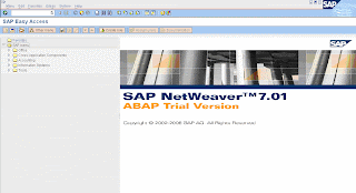 Instalar sap Netweaver