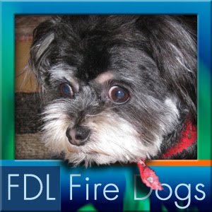 [FDLfiredogsSuz.jpg]
