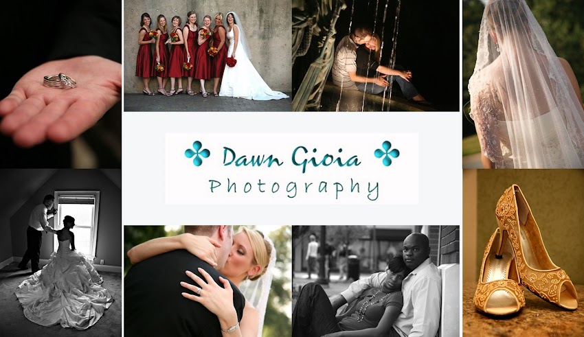 Dawn Gioia Photography