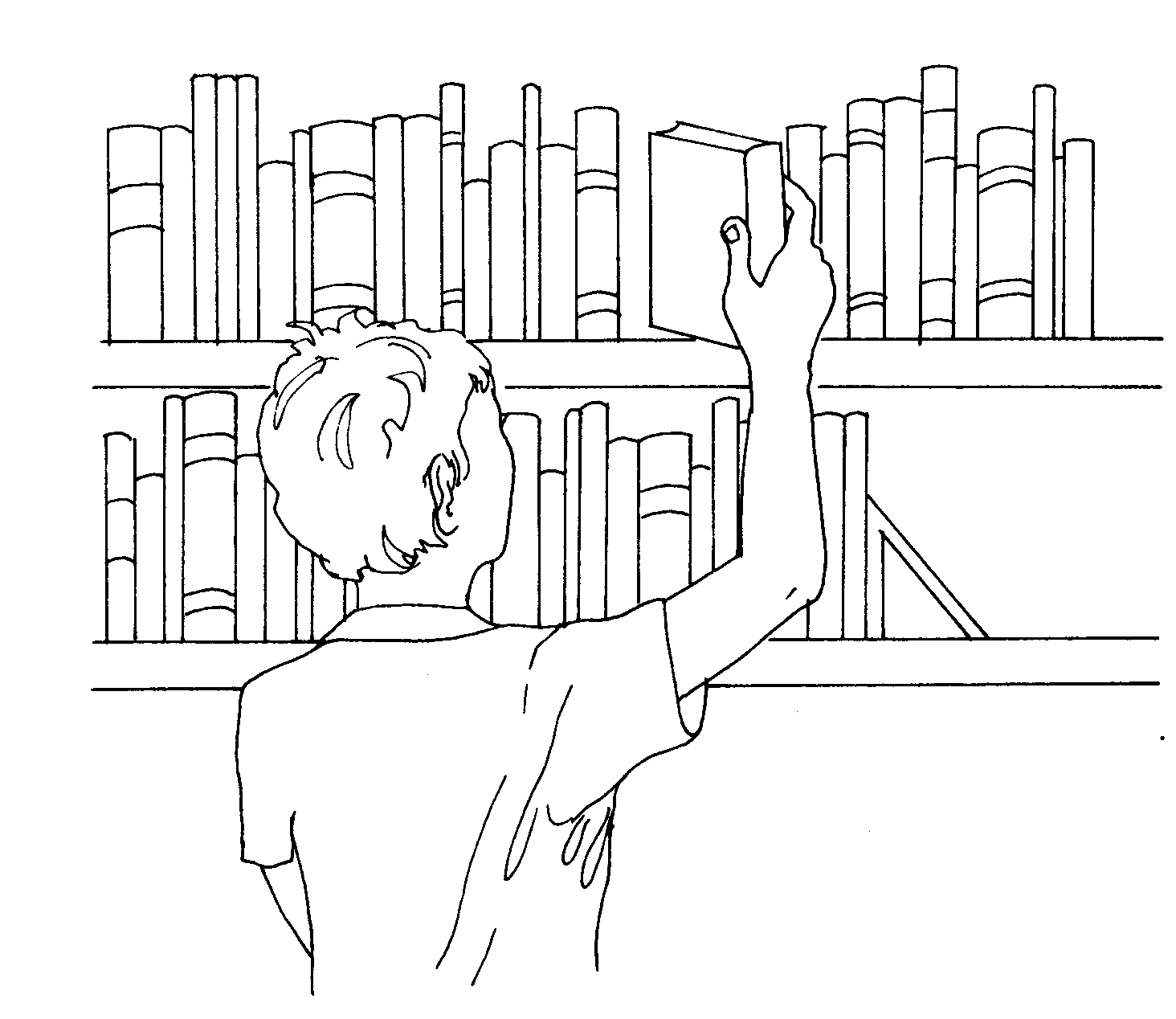 library shelves clipart - photo #41