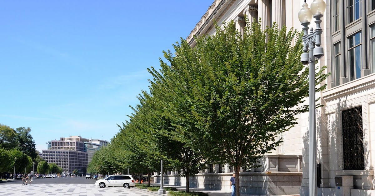 He Who Plants Trees…. Southborough Historical Society