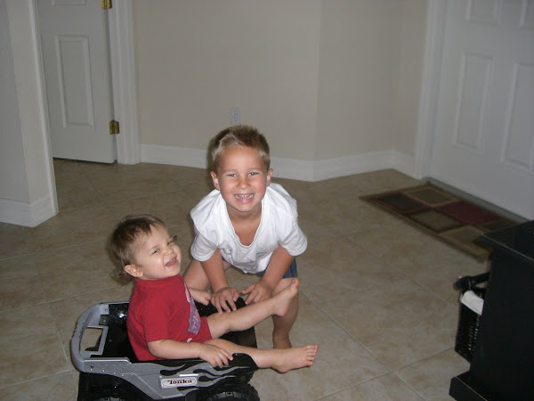 My Monkeys!