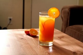 [2009-02-16+077.jpg]