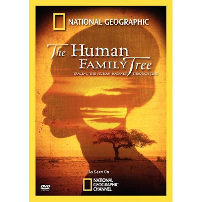 The Human Family Tree