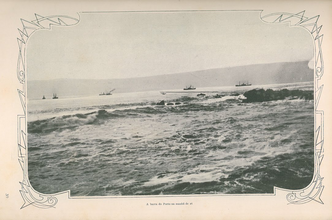 [N203_0009_branca_t0.jpg]