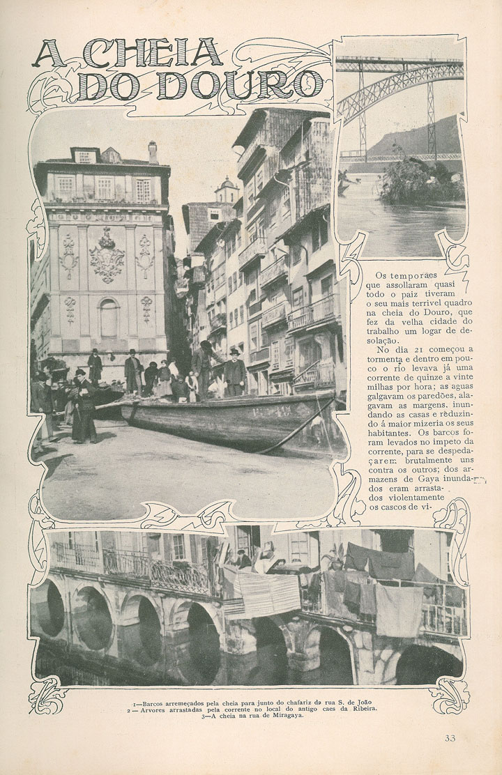 [N203_0003_branca_t0.jpg]