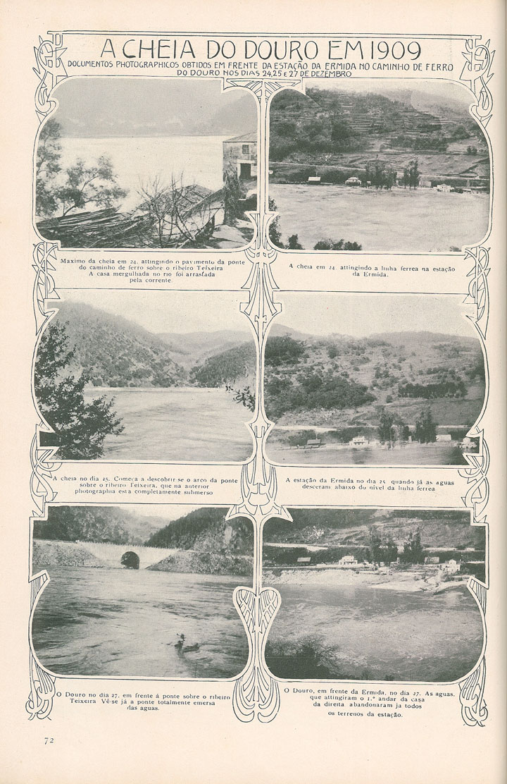 [N204_0010_branca_t0.jpg]