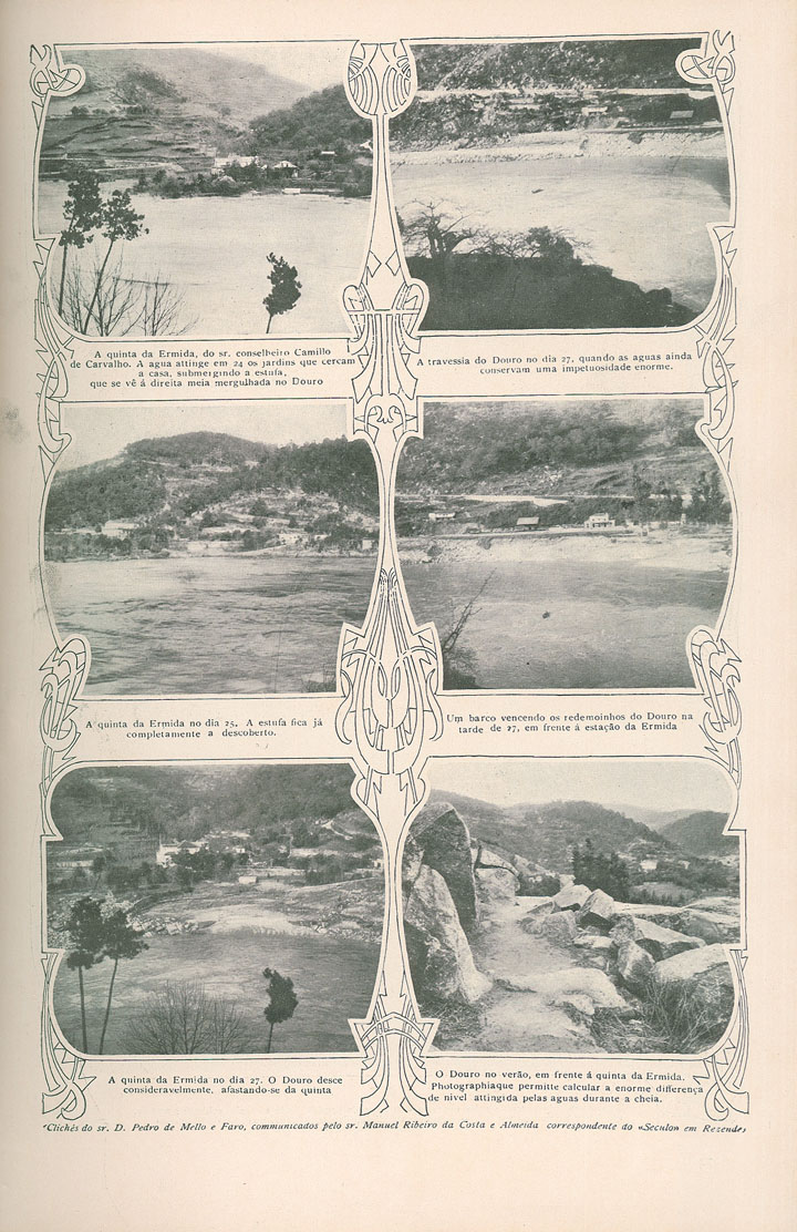 [N204_0011_branca_t0.jpg]