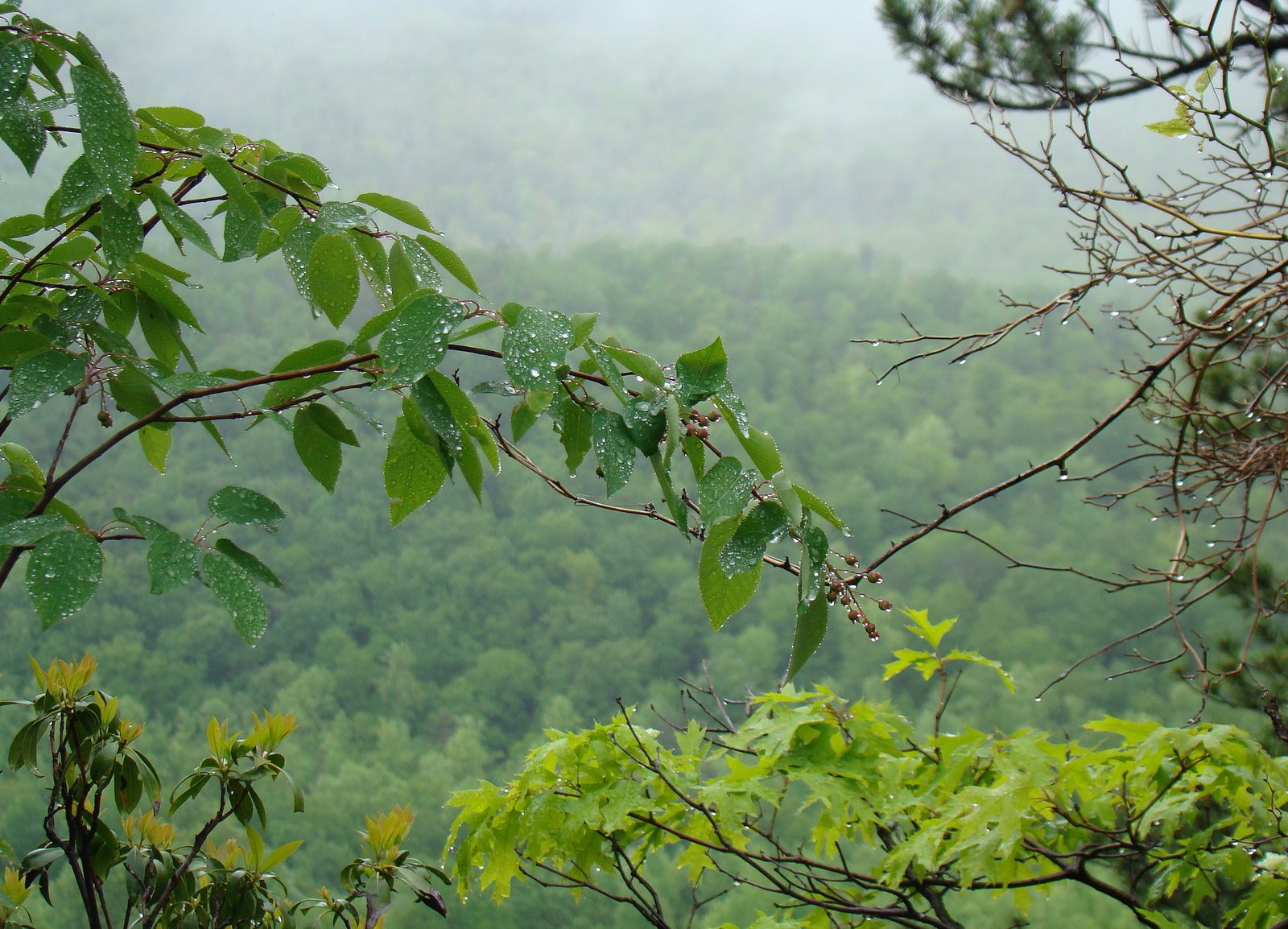 [DSC02690.JPG]