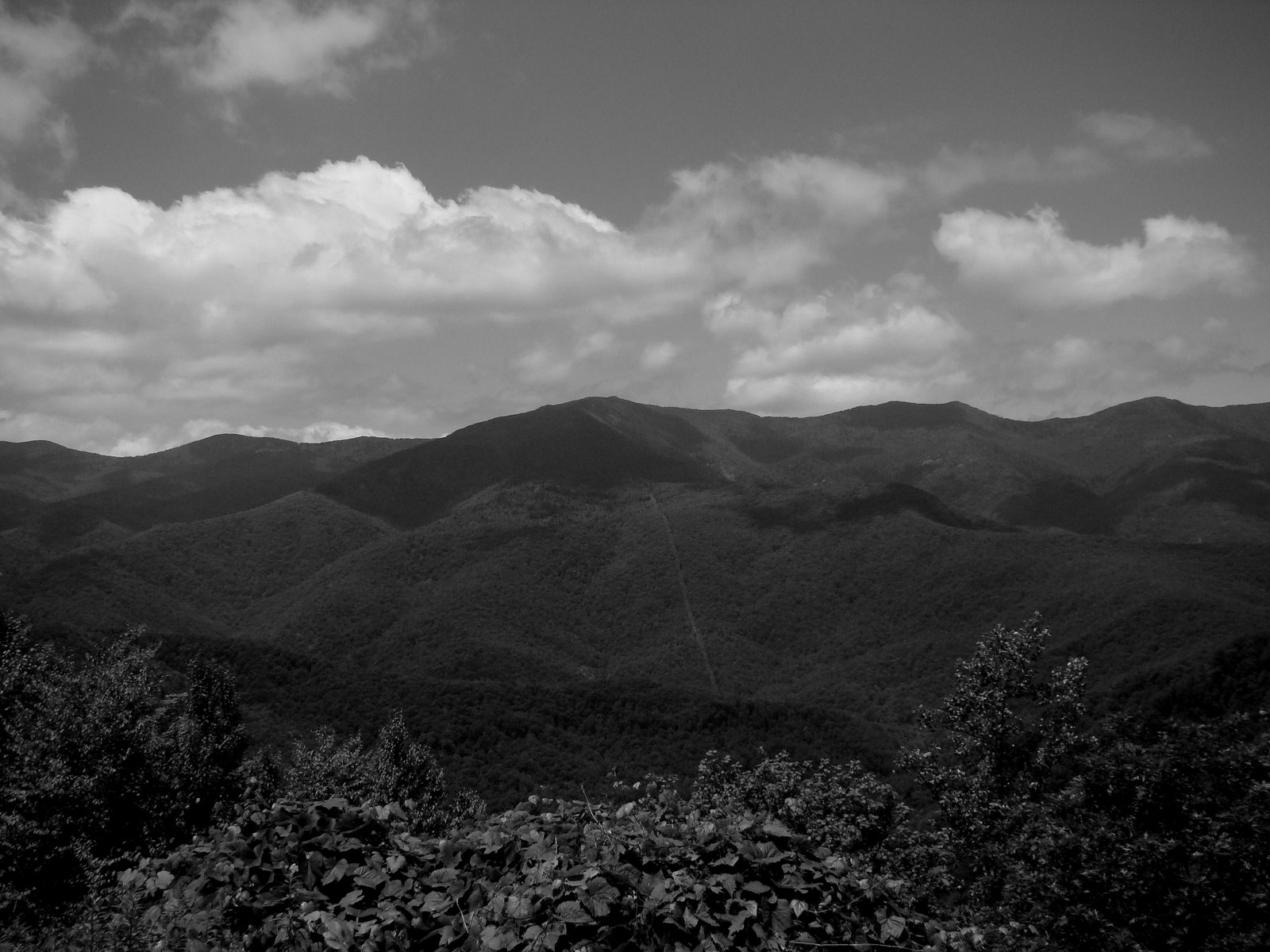 [DSC03616.JPG]