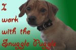 I work with the Snuggle Puggle
