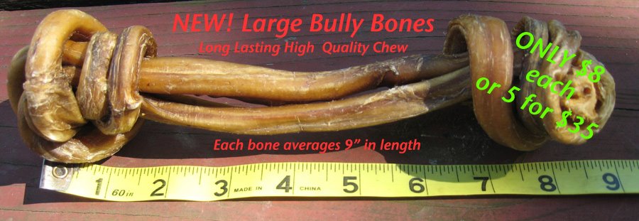 [BullyBone1.jpg]