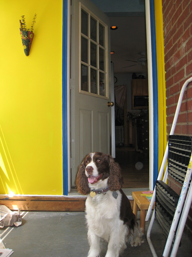 [RehabBackHall4.jpg]