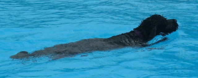 [MiloGordonKlausner.jpg]