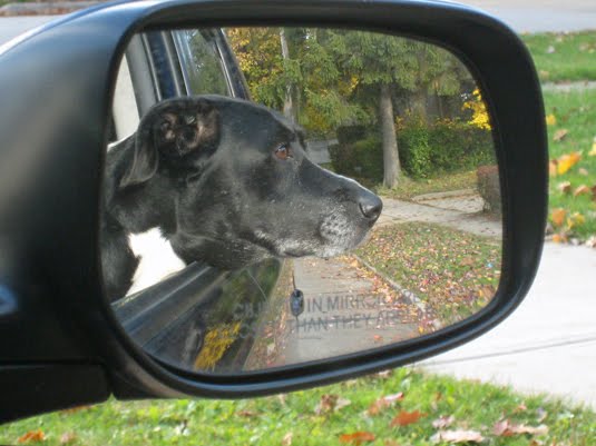 [LilyCarFall2009.jpg]