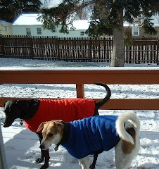 Dino and Buster (from Buffalo)