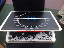Dell lappy fully skinned