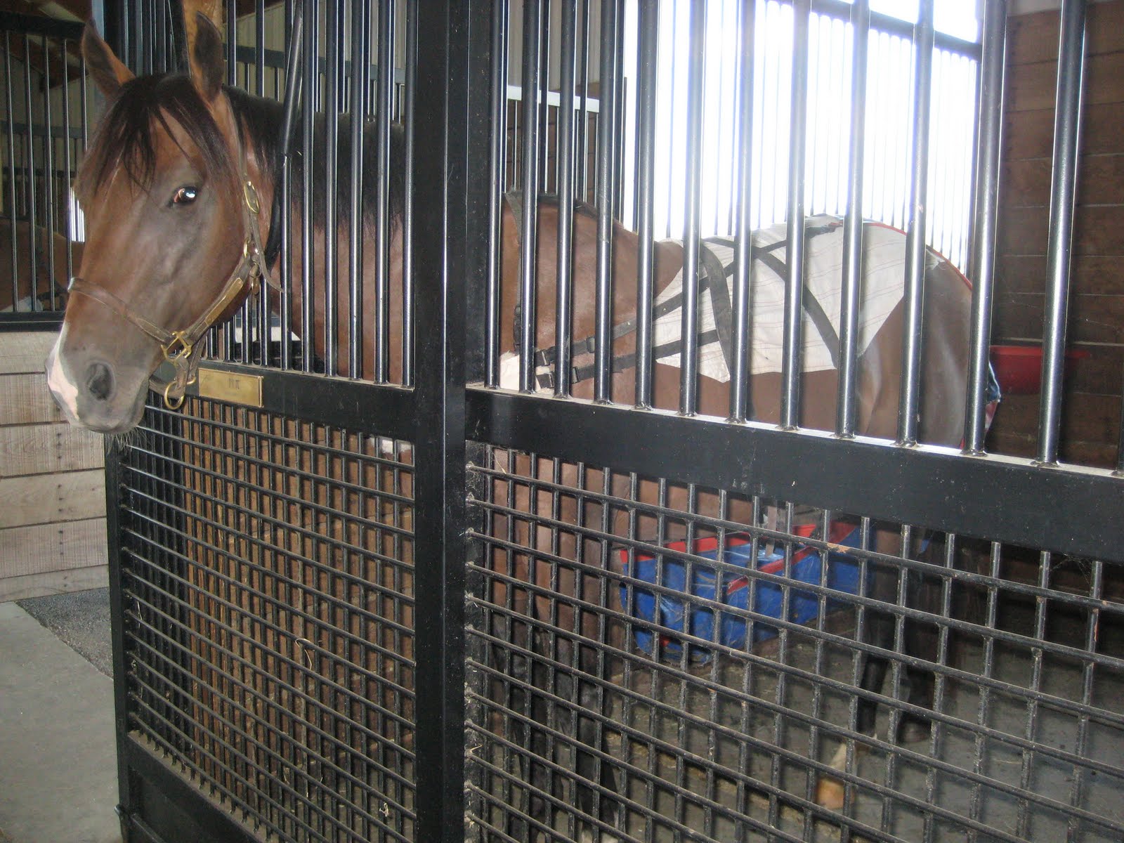 Stateside Equine Research Project KER Kentucky Equine Research, Versailles
