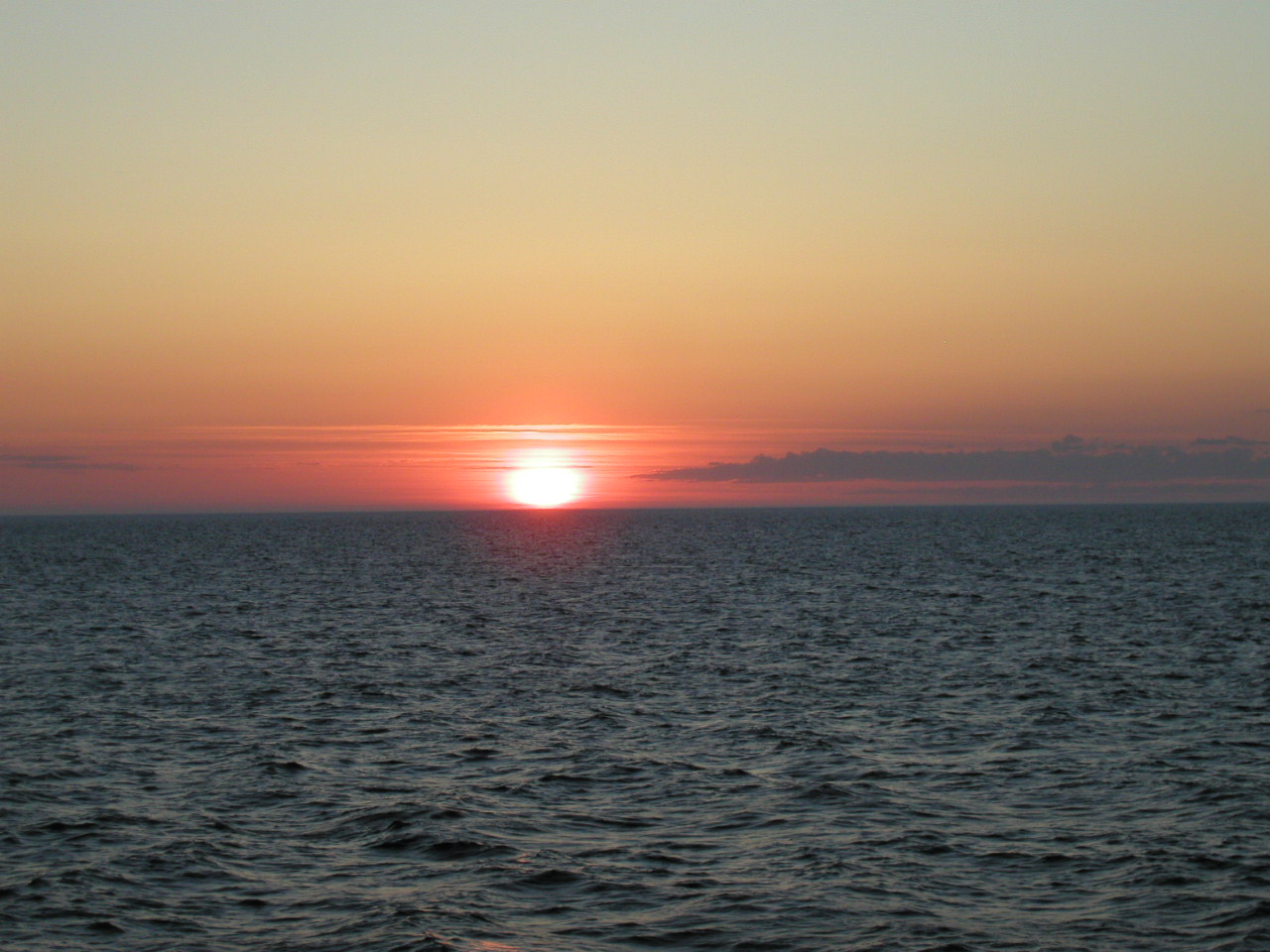 [Fotos+diversas-trab.+634.jpg]