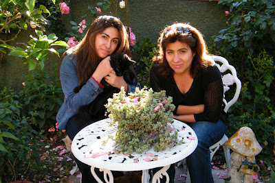 Una simple flor me da vida.: octubre 2010