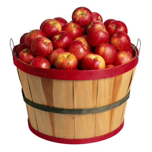 http://2.bp.blogspot.com/_eAX8TT52Qnc/TKTDUrGxZNI/AAAAAAAAA6c/WJhw1QhUSgE/s1600/apple+bushel.png