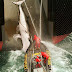 Ιαπωνικό φαλαινοθηρικό απειλει με εξολοθρευση τις φαλαινες