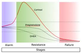 marked decrease of the male hormone testosterone