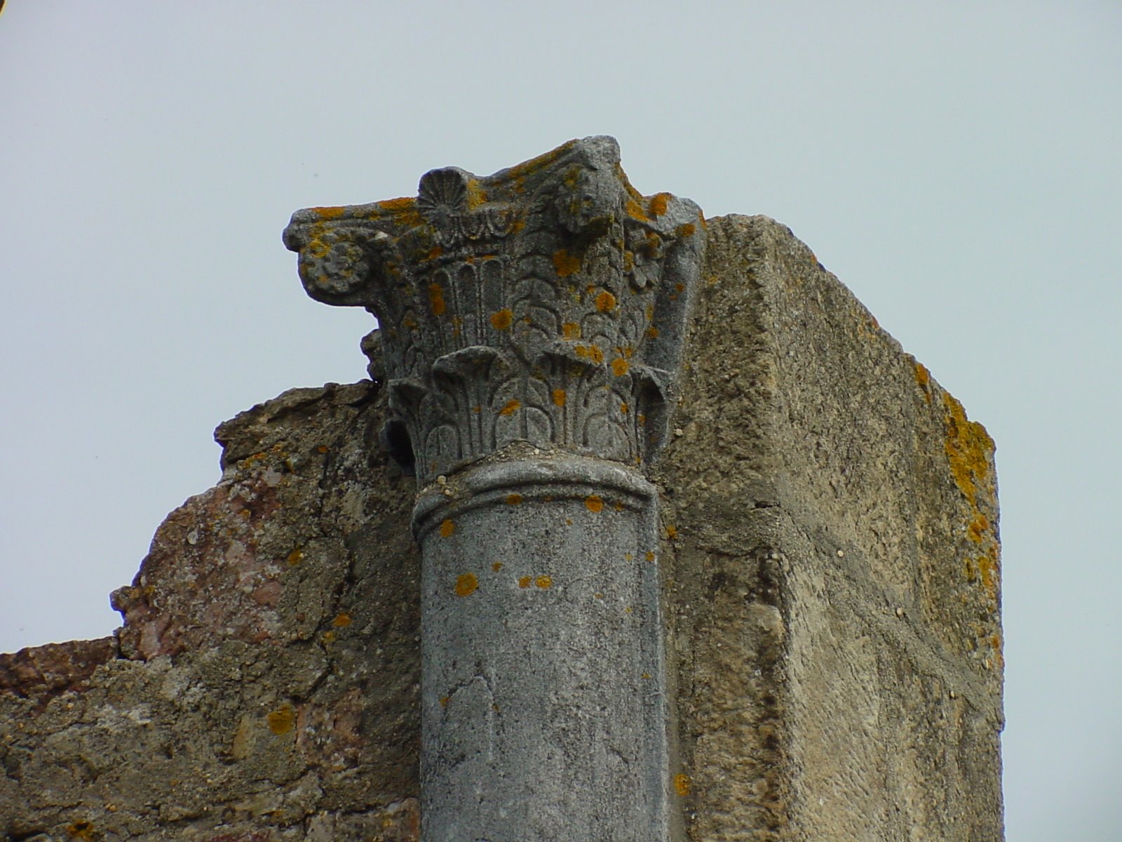 [Capitel+no+Templo+Centralizado.JPG]