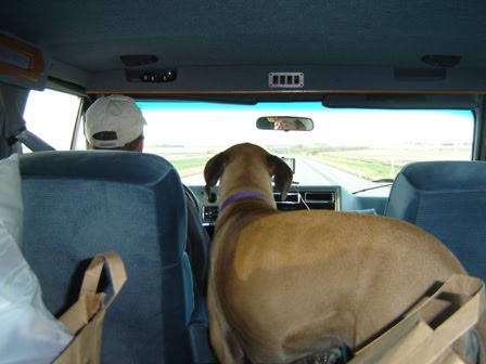 Berkeley Navigating