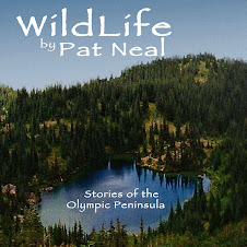 Books by Pat Neal