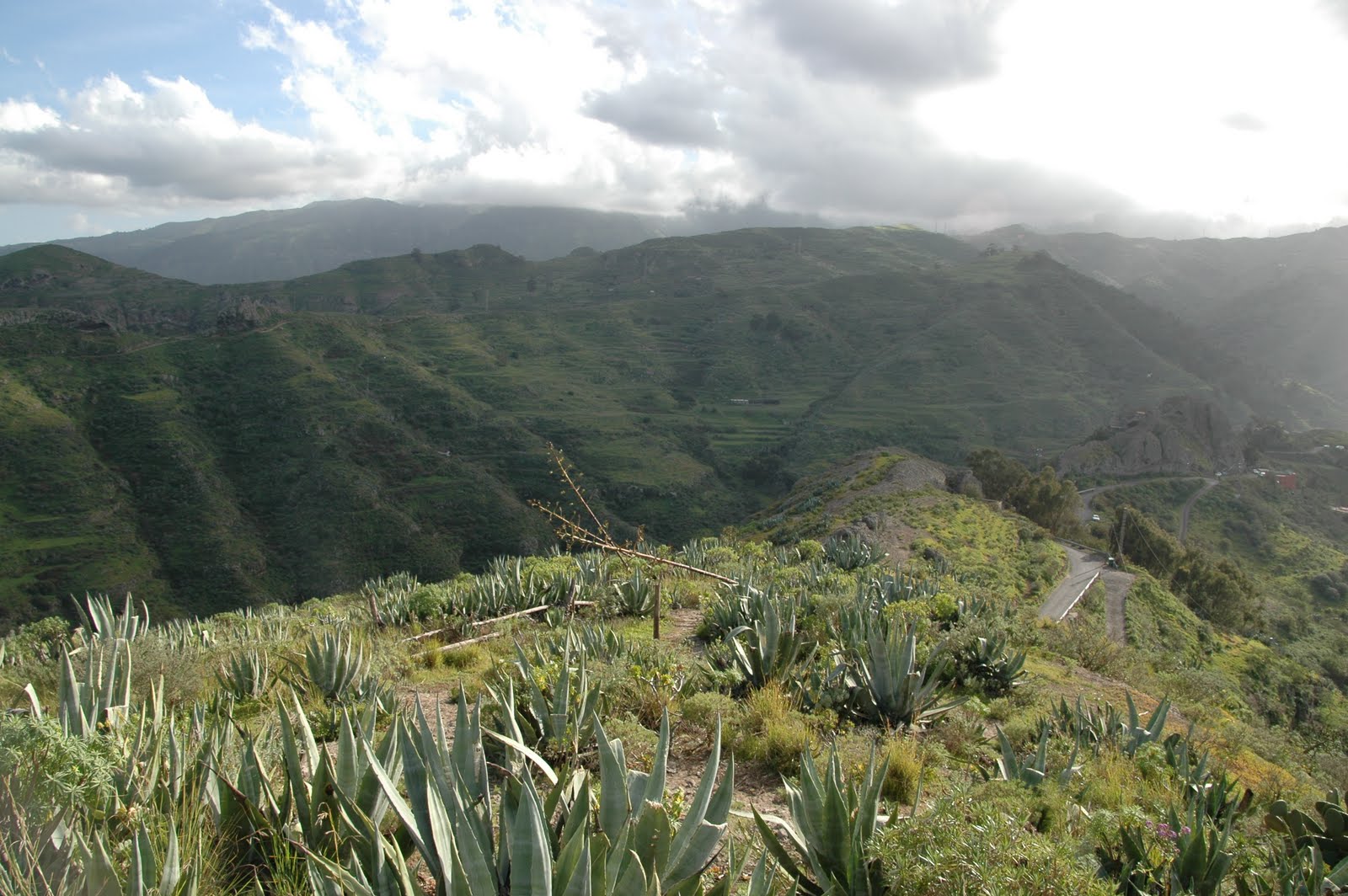 El vago impaciente El Gamonal