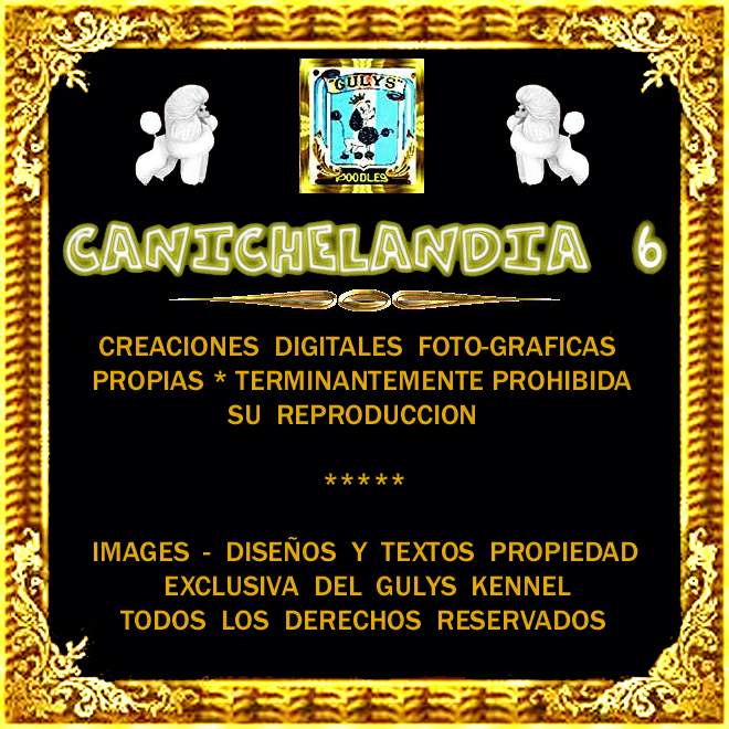 CANICHES GULYS - CANICHELANDIA - 6 -